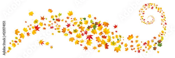 Obraz Bunte Herbstblätter als Hintergrund