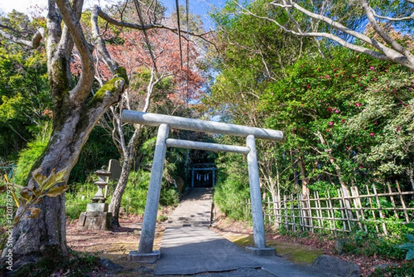 Fototapeta 太平山神社参道 縁結びの鳥居　栃木県栃木市