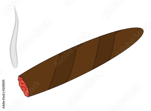 Obraz Havana cigar