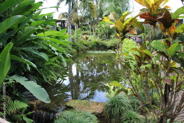 Obraz Tropischer Teich