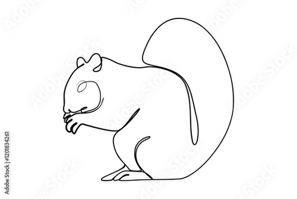 Fototapeta minimalist design of squirrel line art drawing