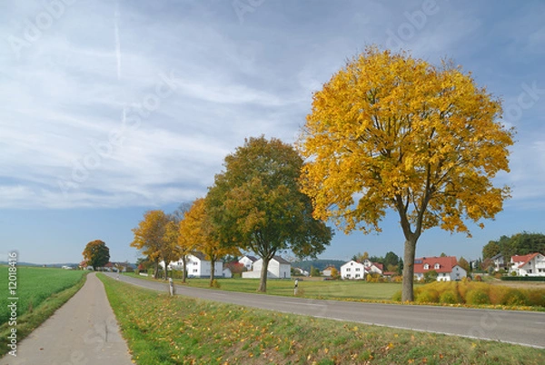 Fototapeta Autumn Landscape