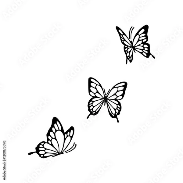 Fototapeta a line art drawing of a set of butterflies