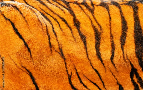 Obraz The tiger's fur is orange and black, with a striped pattern. The fur is soft and fluffy, giving the tiger a warm and inviting appearance