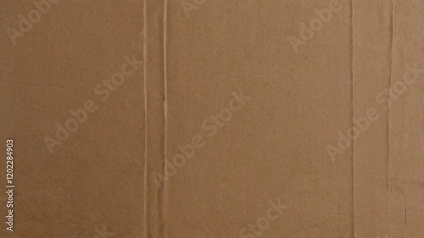 Obraz brown cardboard for background 
