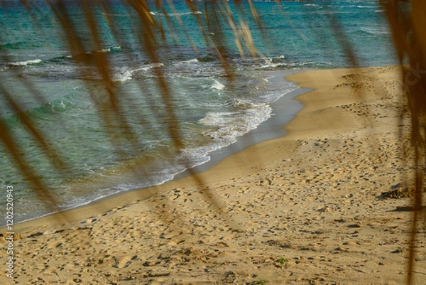 Obraz Beach Path Framed by Palm Leaves