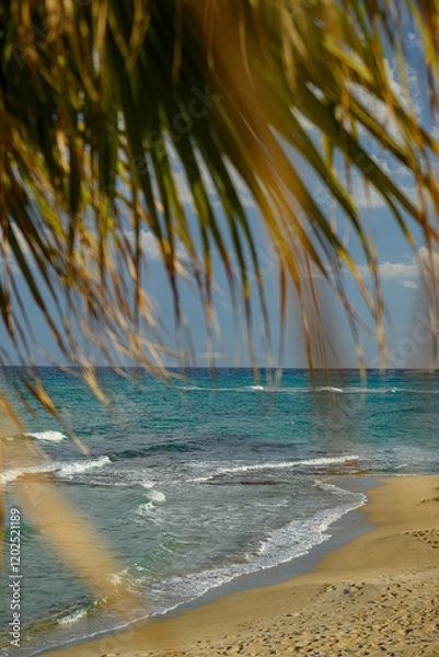Fototapeta Beach View through Palm Leaves