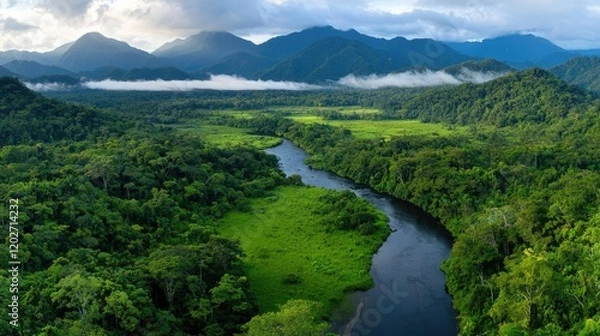 Fototapeta Aerial view of lush rainforest river valley, mountains backdrop, sunrise mist.  Use eco-tourism brochure