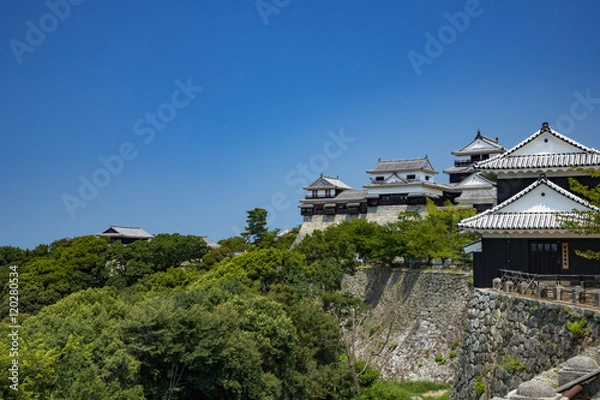 Obraz 松山城と城山公園