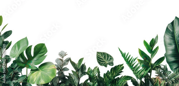 Fototapeta Lush tropical foliage border, vibrant green leaves isolated on white background, perfect for design projects.