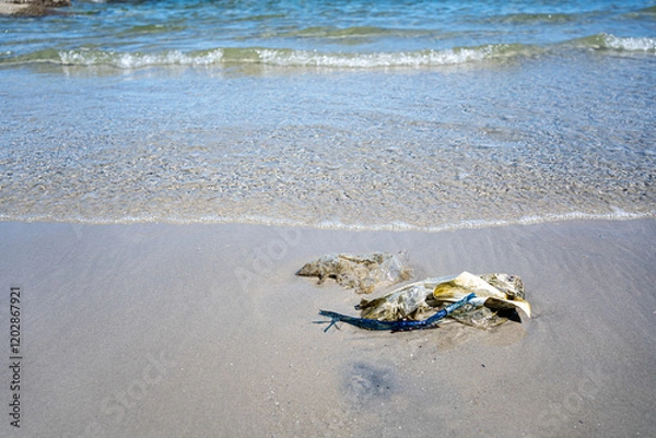 Obraz Beach garbage. Pollution affects the environment and nature conservation. Garbage on the beach wiht dirty sea sandy. plastic bottle. Pollution of beaches and sea.