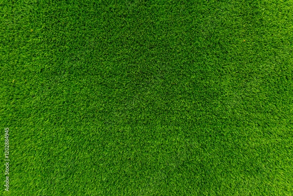 Obraz Green grass texture for golf course, soccer field or sports background. Concept design of Artificial green grass for design with copy space for add text or image.