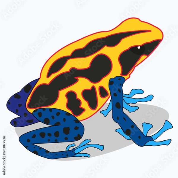 Obraz Разноцветная ядовитая жаба. Опасное животное, насекомоядное.