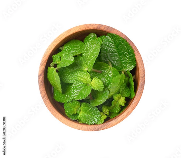 Obraz fresh mint in a wooden bowl