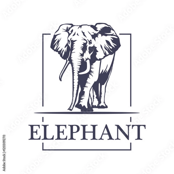 Fototapeta elephant logo