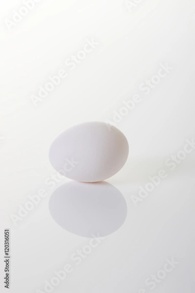 Fototapeta 一個の卵