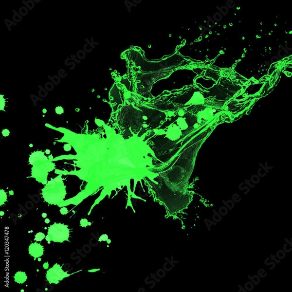 Obraz splash on black background. Paint splash for design use. splash paint isolated. 