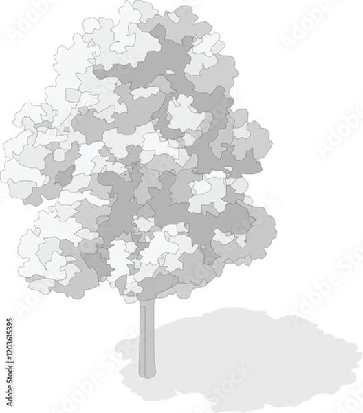 Fototapeta Axonometric tree, isometric tree, isolated tree,vector