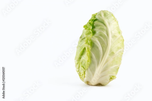 Obraz Cabbage on white background