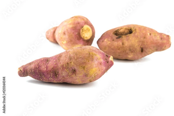Obraz Sweet potato on white background