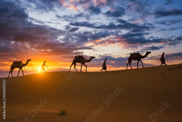 Fototapeta Indian cameleers camel drivers bedouin with camel silhouettes in sand dunes of Thar desert on sunset. Caravan in Rajasthan travel tourism background safari adventure. Jaisalmer, Rajasthan, India