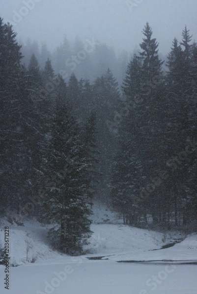 Obraz snow covered trees in the mountains