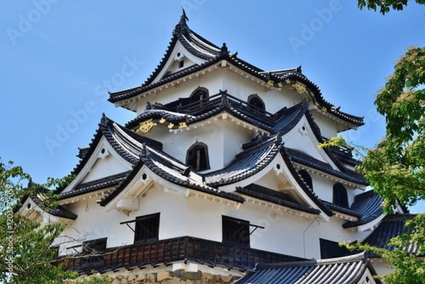 Fototapeta 彦根城（滋賀県）