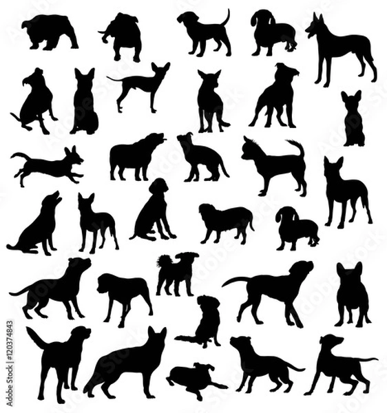 Fototapeta Dog Collection Silhouettes, Pet Animal, art vector design,easy to use for the logo, mascot, stickers, web element, icons and the like