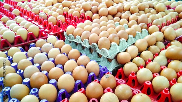 Obraz Fresh eggs in pater tray for sell