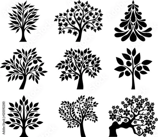 Fototapeta Tree collection