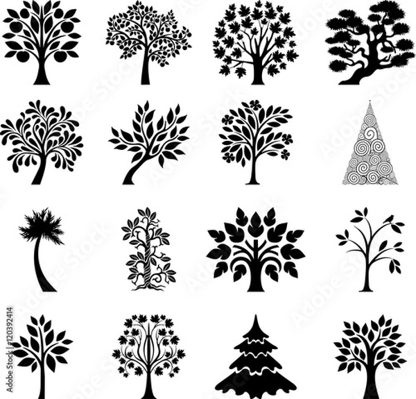 Obraz Tree's collection