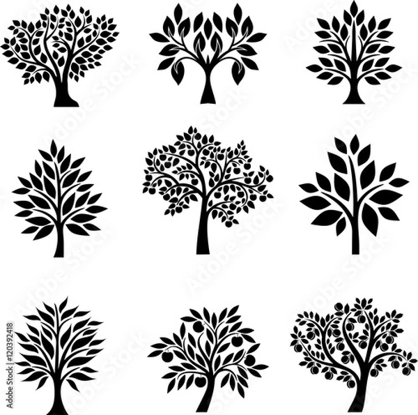 Obraz Tree's collection