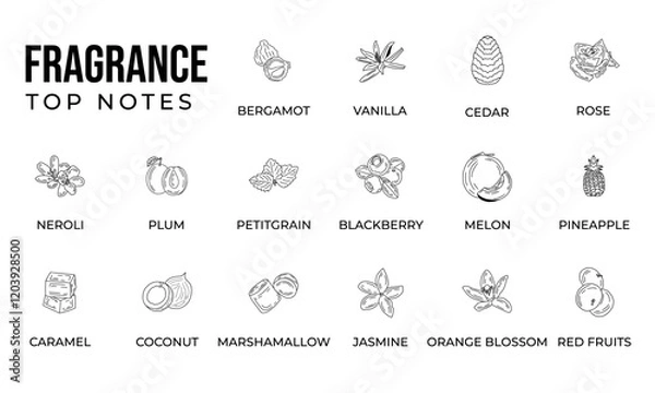 Fototapeta Vector set line icon aromatic notes perfume