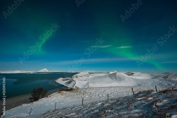 Fototapeta Aurora Borealis or Northern lights the amazing wonder of nature in the dramatic skies of Iceland. Night landscape with the green light and the white snow of winter