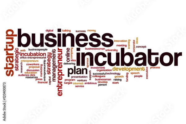 Fototapeta Business incubator word cloud