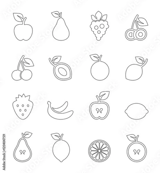 Fototapeta Fruit outline