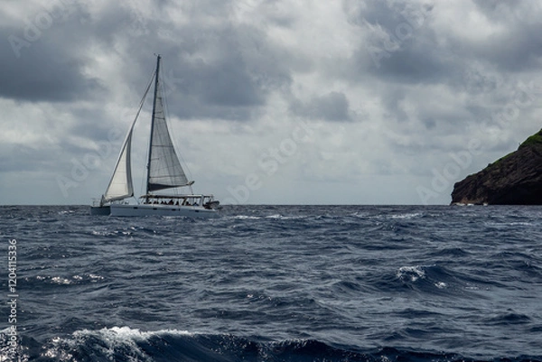 Fototapeta  A sailboat cruising toward the Coin de Mire island . The island forms part of the territory of Mauritius