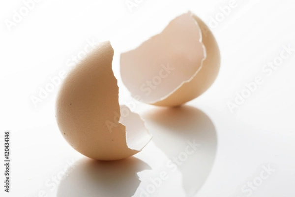 Fototapeta 割れた卵