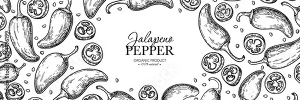 Fototapeta Jalapeno pepper vector drawing. Hand drawn food label. Vegetable engraved style frame. 