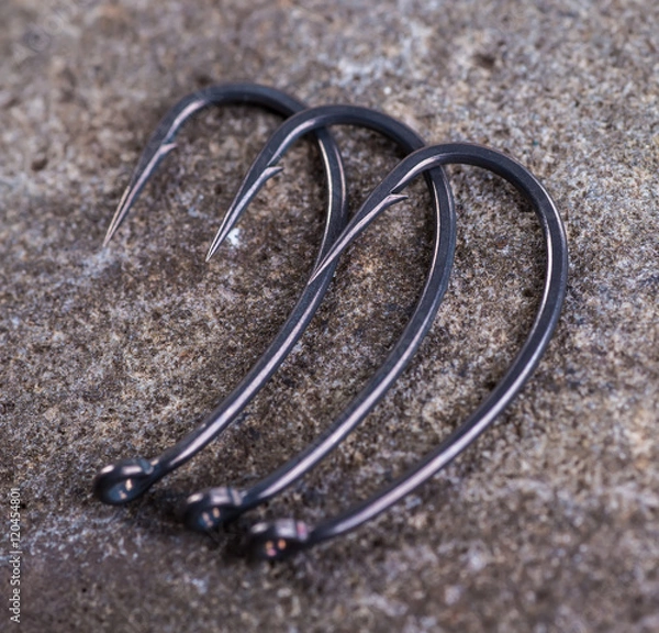 Obraz catch carp on baits