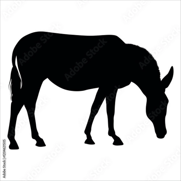 Fototapeta Animal Donkey Silhouette Vector illustration