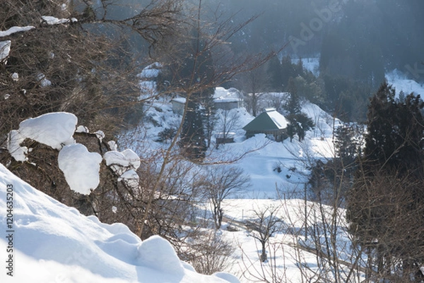 Obraz 雪国の古民家