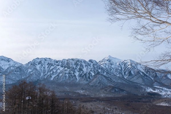 Obraz 冬の戸隠連峰