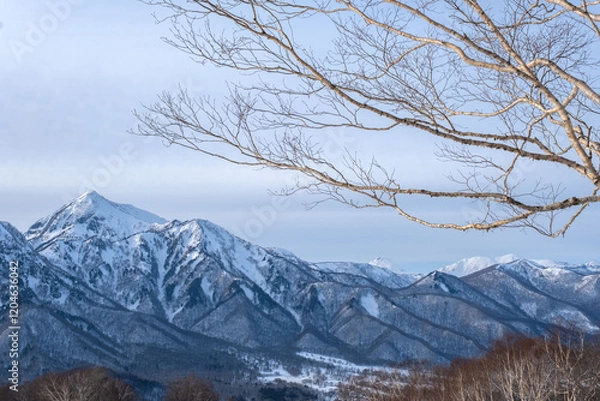 Obraz 冬の高妻山
