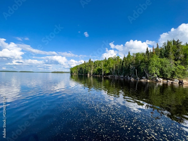 Obraz landscape with lake 