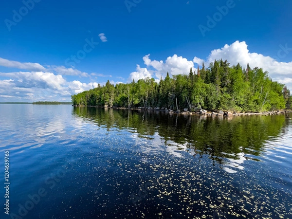 Obraz lake in the forest