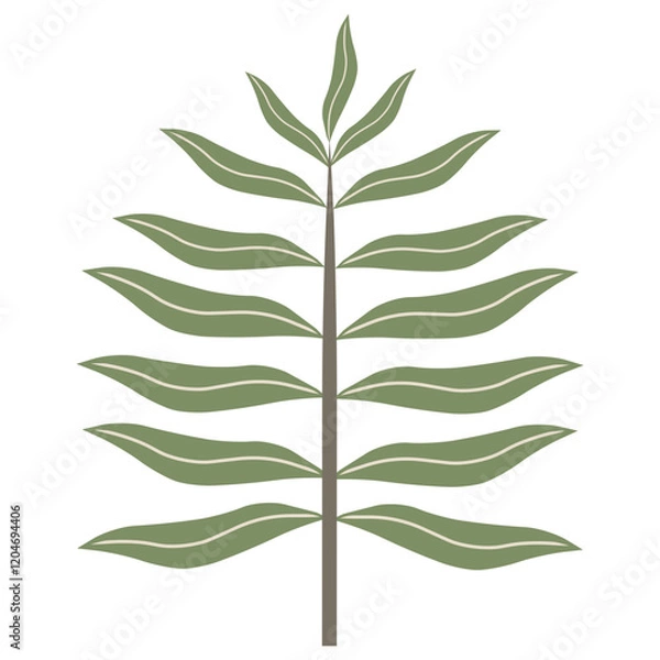 Obraz Aesthetic plant vector for decoration