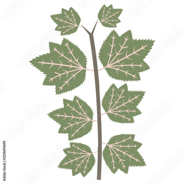 Obraz Aesthetic plant vector for decoration