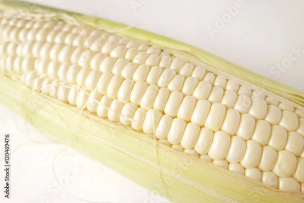Fototapeta  白いトウモロコシ