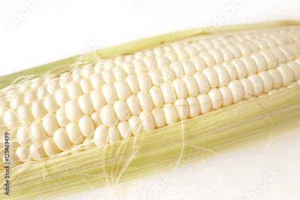 Fototapeta  白いトウモロコシ